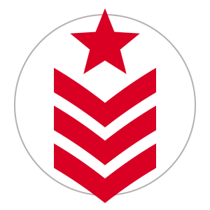 api military defense icon